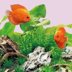 Juwel Leuchtmittel Für Multilux LED Colour 7 Juwel Leuchtmittel Für Multilux LED Colour -Pet Verkauf 1000072582 3