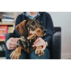 Hunter Halsband Swiss Nickel Braun/Schwarz 5 Hunter Halsband Swiss Nickel Braun/Schwarz -Pet Verkauf 41751 hunter halsband swiss nickel braun schwarz 00