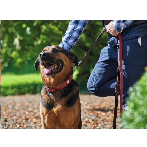 Hunter Verstellbare Führleine Swiss Rot/Schwarz 2 Hunter Verstellbare Führleine Swiss Rot/Schwarz – Bild 2