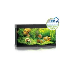 Juwel Komplett-Aquarium Vision 260 LED Ohne Unterschrank