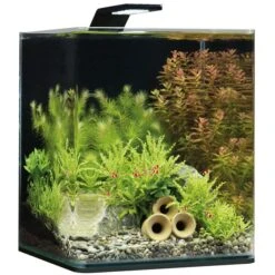 Dennerle NanoCube Basic Set 11 Dennerle NanoCube Basic Set -Pet Verkauf Dennerle NanoCube Basic Style LED M 20l605caf4da747f