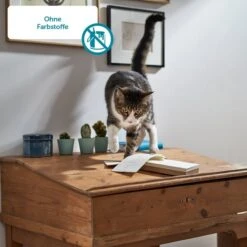 ZooRoyal Gourmet Leckerbissen Mit Saftigem Putenfleisch In Feiner Sauce -Pet Verkauf Katze 4 ohne Farbstoffe610d48908df21