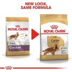 ROYAL CANIN Cocker Adult Hundefutter Trocken -Pet Verkauf RoyalCanin Hundefutter Cocker 5