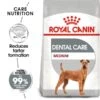 ROYAL CANIN DENTAL CARE MEDIUM Trockenfutter Für Mittelgroße Hunde Mit Empfindlichen Zähnen