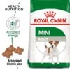 ROYAL CANIN MINI Adult Trockenfutter Für Kleine Hunde