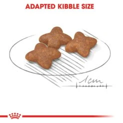 ROYAL CANIN MINI Adult Trockenfutter Für Kleine Hunde -Pet Verkauf RoyalCanin Hundefutter Mini 4