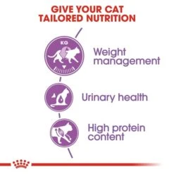 ROYAL CANIN STERILISED Trockenfutter Für Kastrierte Katzen -Pet Verkauf RoyalCanin Katzenfutter Regular Sterilised 3