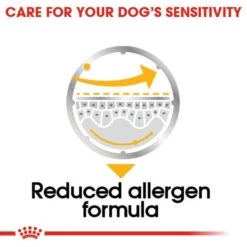 ROYAL CANIN DERMACOMFORT Nassfutter Für Hunde Mit Empfindlicher Haut 12x85g -Pet Verkauf RoyalCanin Hundefutter CCN Dermacomfort Nassfutter 35f1ece8f9bd10