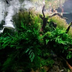 TWINSTAR 2 Aquarium-Sterilisator Nano -Pet Verkauf ada aquarium sterilisator twinstar alle 6560e442f142955a86dda6748f7