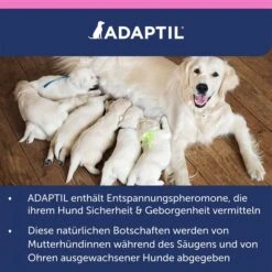 Adaptil Junior Halsband -Pet Verkauf adaptil junior halsband 10