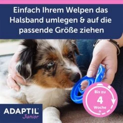 Adaptil Junior Halsband -Pet Verkauf adaptil junior halsband 4