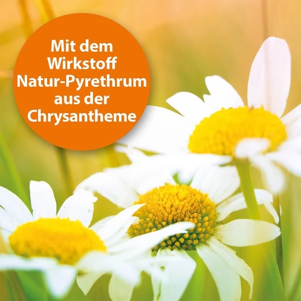 ARDAP Spot-On Für Katzen 2 ARDAP Spot-On Für Katzen – Bild 2