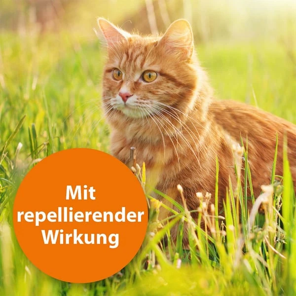 ARDAP Spot-On Für Katzen 3 ARDAP Spot-On Für Katzen – Bild 3