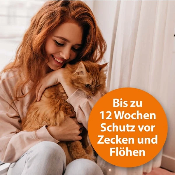 ARDAP Spot-On Für Katzen 4 ARDAP Spot-On Für Katzen – Bild 4