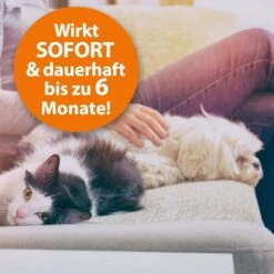 ARDAP Langzeit Ungezieferbekämpfungs-Set -Pet Verkauf ardap fogger ungeziefervernebler 200ml 6zUSNl54Iy8T8j
