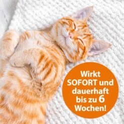 ARDAP Langzeit Ungezieferbekämpfungs-Set -Pet Verkauf ardap langzeit flohspray fur die umgebung 400ml 3IYTGGO8GUPmI0