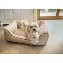 Aumüller Hundebett Sofa Basic 100 Cm -Pet Verkauf aumueller hundebett sofa basic beige web 4