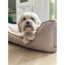 Aumüller Hundebett Sofa Basic 100 Cm -Pet Verkauf aumueller hundebett sofa basic beige web 5