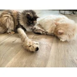 Aumüller Katzenspielkissen Zappel - Frettchen Speedy -Pet Verkauf aumueller katzen spielzeug zappel frettchen freddy web 1