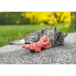 Aumüller Lucky Lobster Orange 19 Aumüller Lucky Lobster Orange -Pet Verkauf aumueller lucky lobster orange web 10