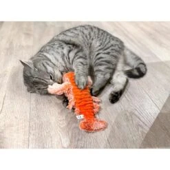 Aumüller Lucky Lobster Orange 17 Aumüller Lucky Lobster Orange -Pet Verkauf aumueller lucky lobster orange web 7