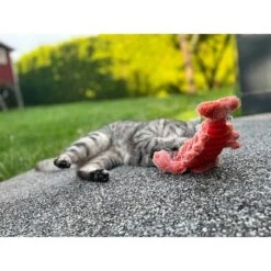 Aumüller Lucky Lobster Orange 18 Aumüller Lucky Lobster Orange -Pet Verkauf aumueller lucky lobster orange web 8