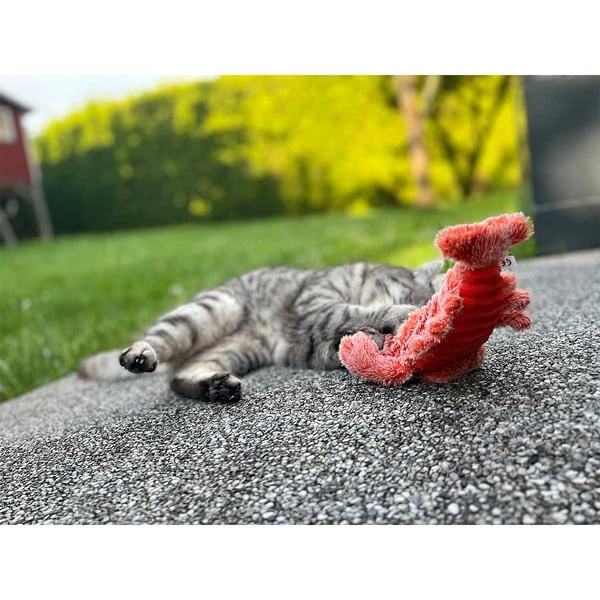 Aumüller Lucky Lobster Orange 8 Aumüller Lucky Lobster Orange – Bild 8