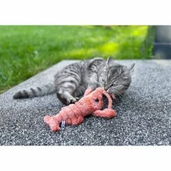 Aumüller Lucky Lobster Orange 20 Aumüller Lucky Lobster Orange -Pet Verkauf aumueller lucky lobster orange web 9