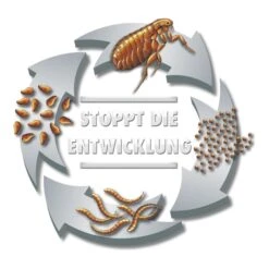 Beaphar Protecto Insekten Vernebler 200ml 12 Beaphar Protecto Insekten Vernebler 200ml -Pet Verkauf beaphar protecto insekten vernebler 3