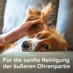 Beaphar Sensitiv Ohrenreiniger 50ml + Fingerling GRATIS -Pet Verkauf beaphar sensitiv ohrenreiniger 50ml plus fingerling gratis 5