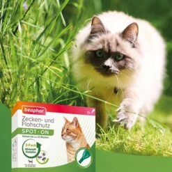 Beaphar Zecken- & Flohschutz SPOT-ON Für Katzen + Zeckenstift Gratis -Pet Verkauf beaphar zecken und flohschutz spot on fur katzen 58OMA4Yjwoanjx