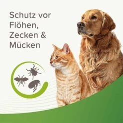 Beaphar Zecken- Und Flohschutz Spray 400ml -Pet Verkauf beaphar zecken und flohschutz spray 400ml 5
