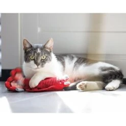 Beeztees Bewegender Hummer -Pet Verkauf beeztees bewegender hummer 5