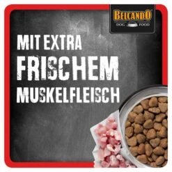 Belcando Junior Maxi -Pet Verkauf belcando alle 35ee753dadfa5f