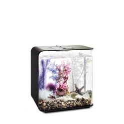 BiOrb Decor Set 30L -Pet Verkauf biorb deco pinkocean 30 3