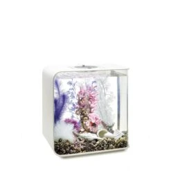 BiOrb Decor Set 30L -Pet Verkauf biorb deco pinkocean 30 4