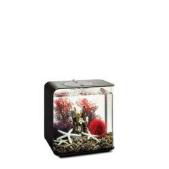 BiOrb Decor Set 15L -Pet Verkauf biorb deco redforrest 15 3