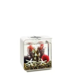 BiOrb Decor Set 15L -Pet Verkauf biorb deco redforrest 15 4