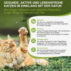 Bogaprotect Spot-On Katze 10 Bogaprotect Spot-On Katze -Pet Verkauf bogaprotect spot on katze s 5r363BjL8SXue3