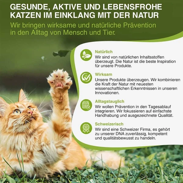 Bogaprotect Spot-On Katze 5 Bogaprotect Spot-On Katze – Bild 5