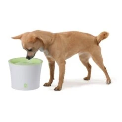 Catit Trinkbrunnen Für Katzen Und Kleine Hunde 3l 6 Catit Trinkbrunnen Für Katzen Und Kleine Hunde 3l -Pet Verkauf catit trinkbrunnen fuer katzen und kleine hunde 3l 3