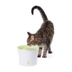Catit Trinkbrunnen Für Katzen Und Kleine Hunde 3l 7 Catit Trinkbrunnen Für Katzen Und Kleine Hunde 3l -Pet Verkauf catit trinkbrunnen fuer katzen und kleine hunde 3l 4