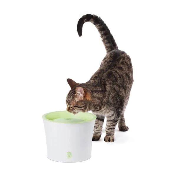 Catit Trinkbrunnen Für Katzen Und Kleine Hunde 3l 4 Catit Trinkbrunnen Für Katzen Und Kleine Hunde 3l – Bild 4