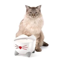 Catit Pixi Trinkbrunnen Edelstahl 12 Catit Pixi Trinkbrunnen Edelstahl -Pet Verkauf catit pixi trinkbrunnen edelstahl 5
