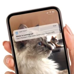 Catit Pixi Smart Trinkbrunnen 12 Catit Pixi Smart Trinkbrunnen -Pet Verkauf catit pixi trinkbrunnen smart 4