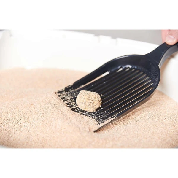 Classic Eco Cat 3 Classic Eco Cat – Bild 3