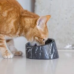 Designed By Lotte Melamin Katzennapf Vita -Pet Verkauf designedbylotte katzennapf vita schwarz 4