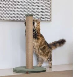Designed By Lotte Kratzsäule Yenna Grün 41x41x70cm -Pet Verkauf designedbylotte kratzstamm yenna 5