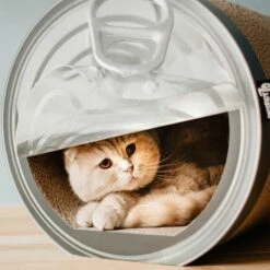 District 70 Kratzhaus Can -Pet Verkauf district 70 kratzhaus can 3