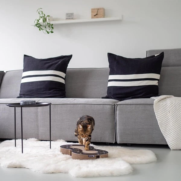 Pet Verkauf -Pet Verkauf district 70 kratzpappe snake schwarz 2